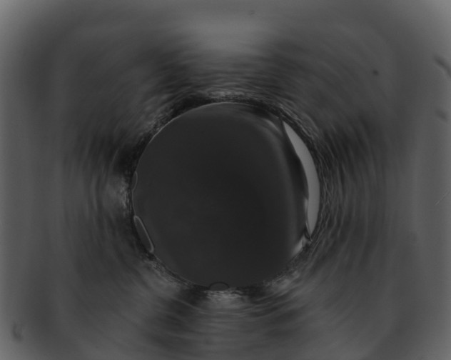 X0000092320380200710051301