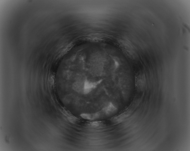 X0000092320382200710051301