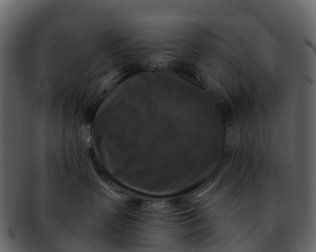 X0000092320383200710051301