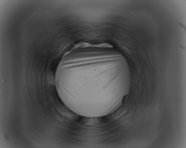 X0000092320384200710051301