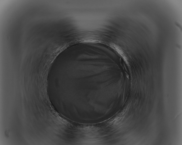 X0000092320385200710051300