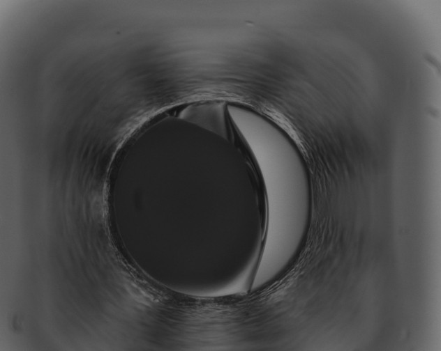 X0000092320387200710051300