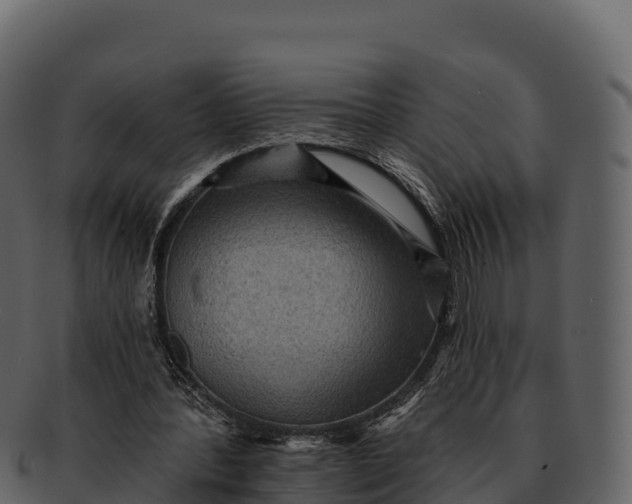 X0000092320388200710051300