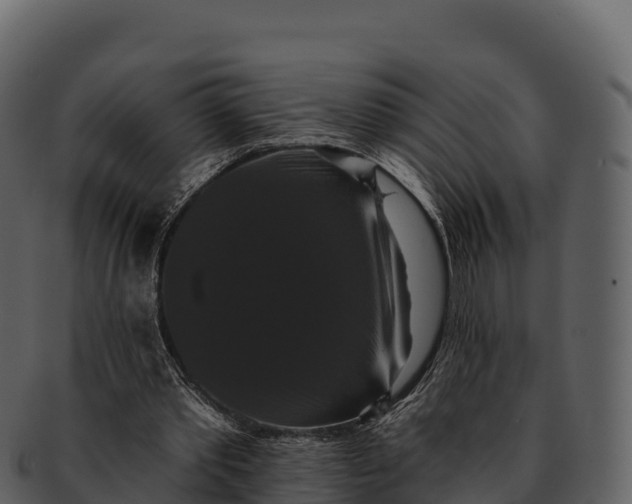 X0000092320389200710051300