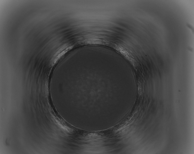 X0000092320390200710051300