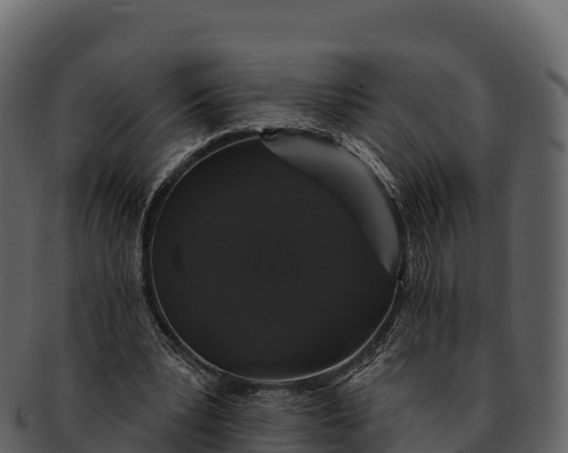 X0000092320391200710051300