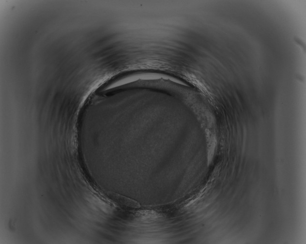 X0000092320392200710051300