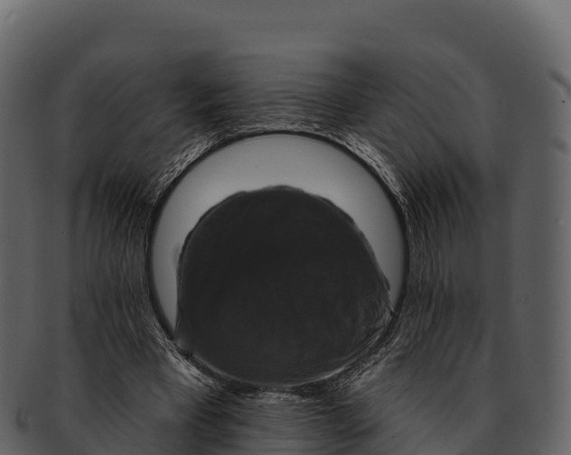 X0000092320393200710051300