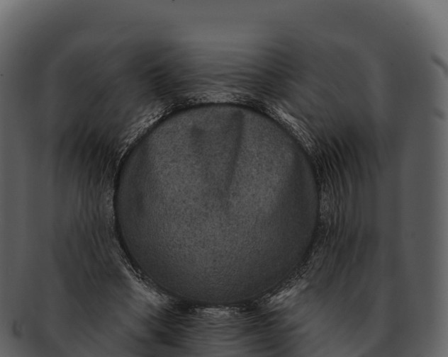 X0000092320394200710051300