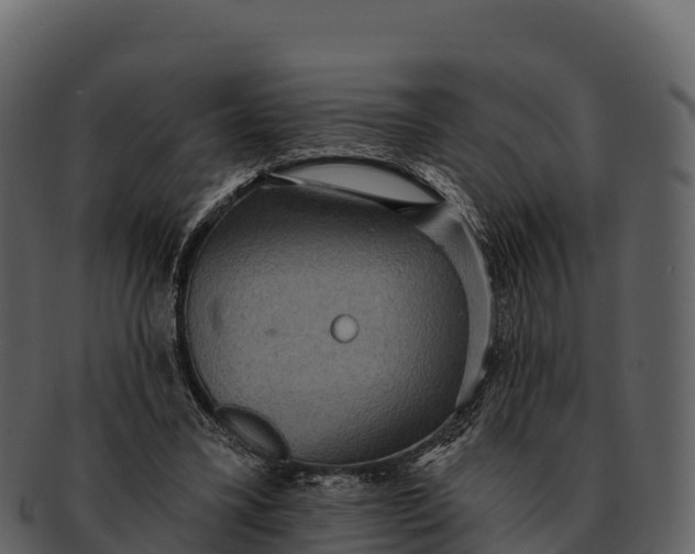 X0000092320395200710051300