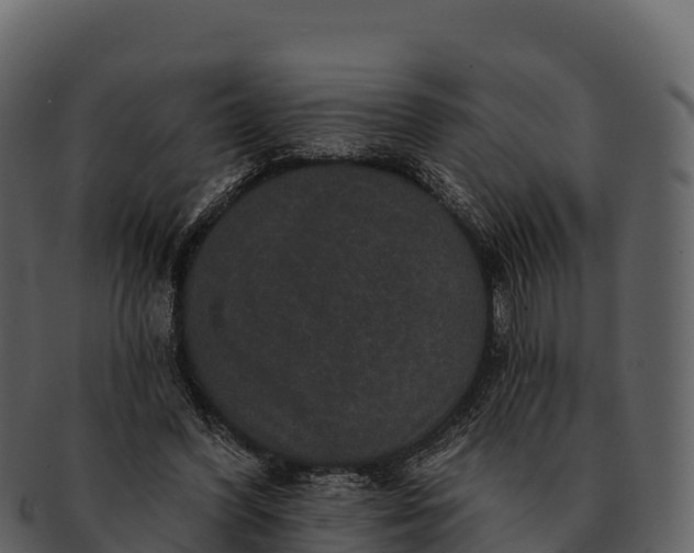 X0000092320396200710051300