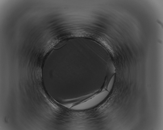 X0000092320397200710051300