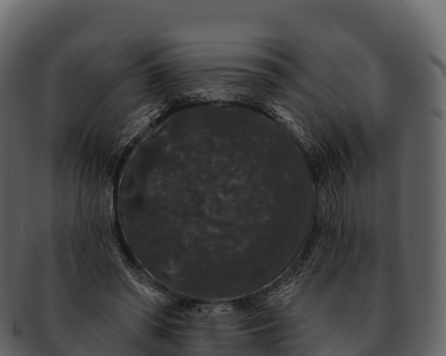 X0000092320398200710051300