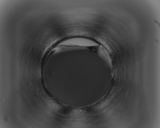 X0000092320399200710051300