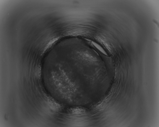 X0000092320400200710051300