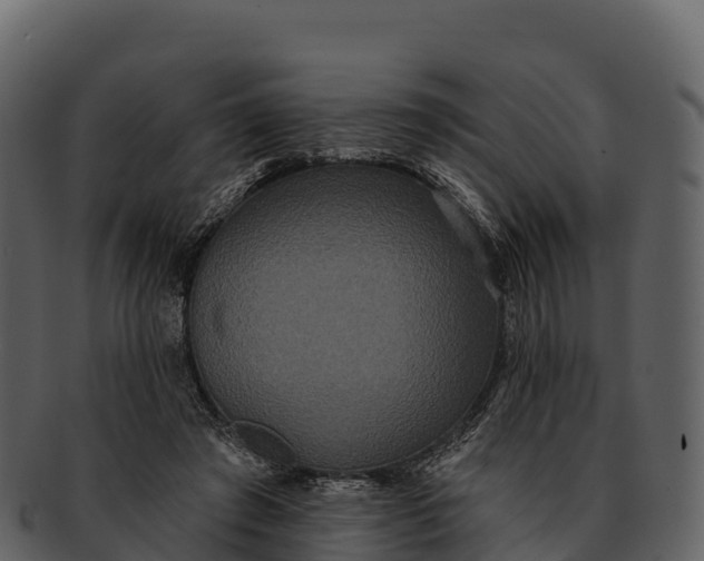 X0000092320401200710051300