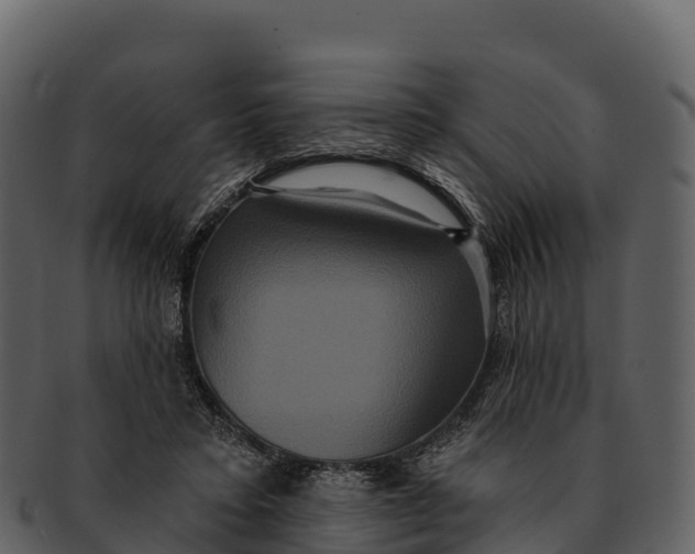 X0000092320403200710051300