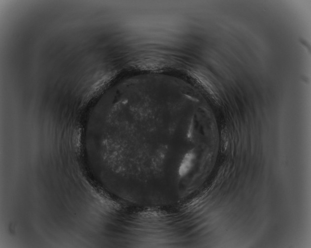 X0000092320404200710051300