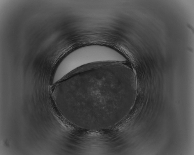 X0000092320405200710051300