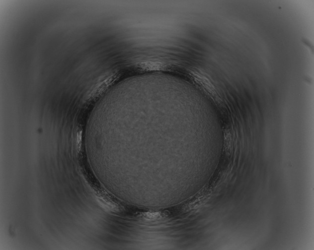 X0000092320406200710051300