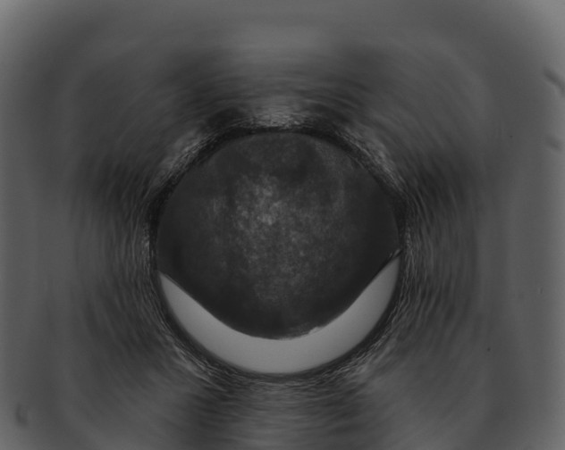 X0000092320407200710051300