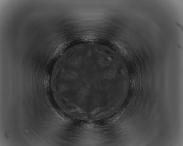 X0000092320408200710051300