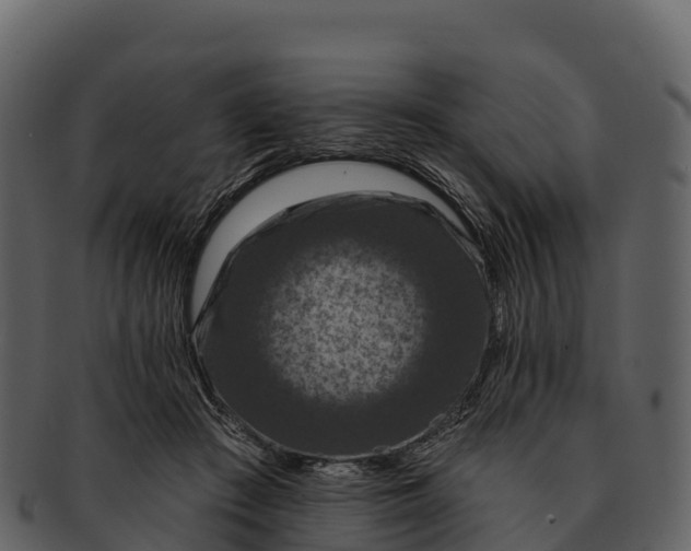 X0000092320409200710051300