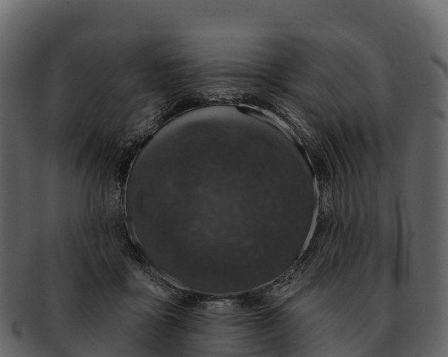 X0000092320411200710051300