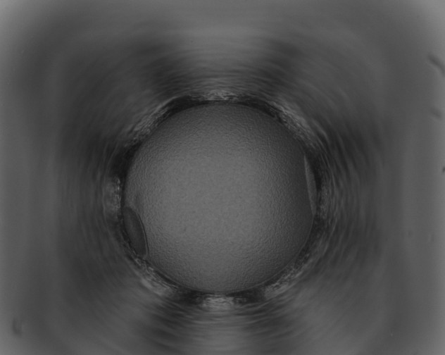 X0000092320413200710051300