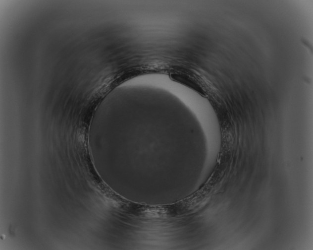 X0000092320415200710051300