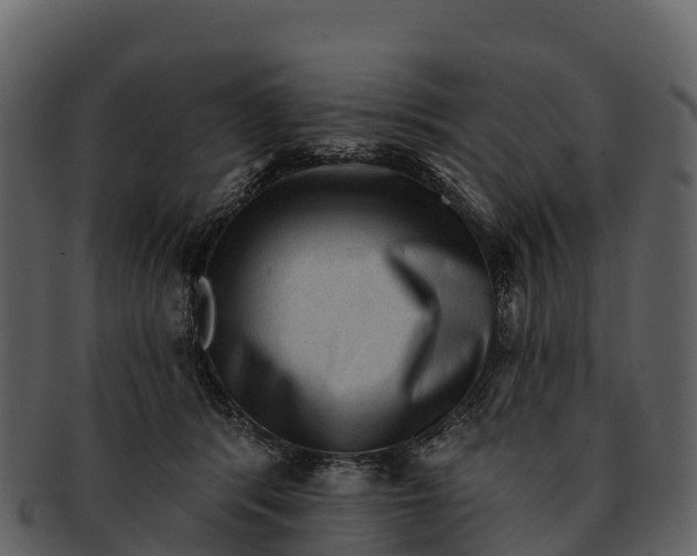 X0000092320416200710051300