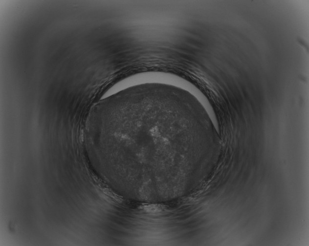 X0000092320417200710051300