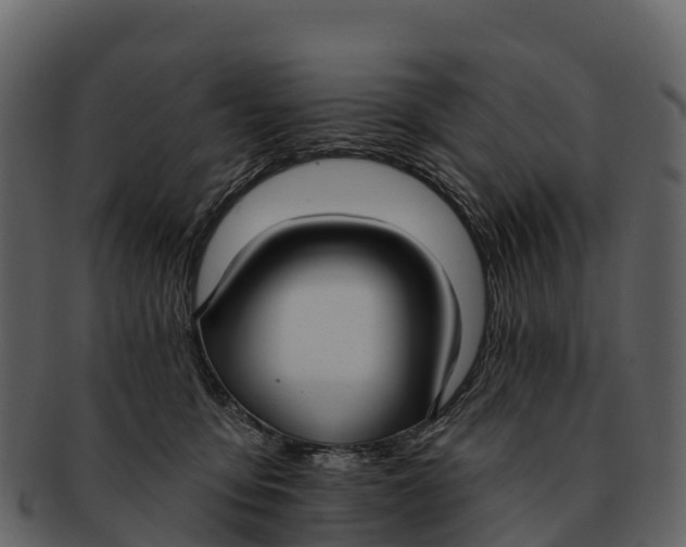 X0000092320419200710051300