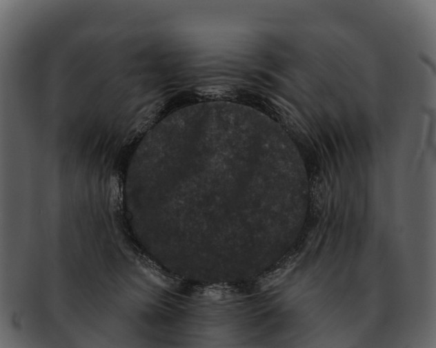 X0000092320420200710051300