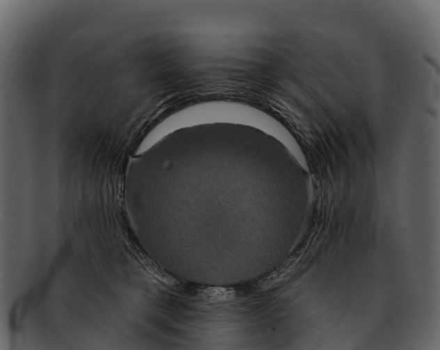 X0000092320421200710051300