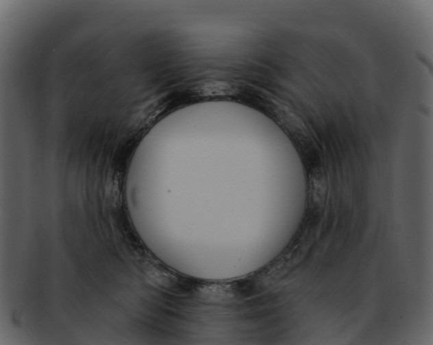 X0000092320422200710051300