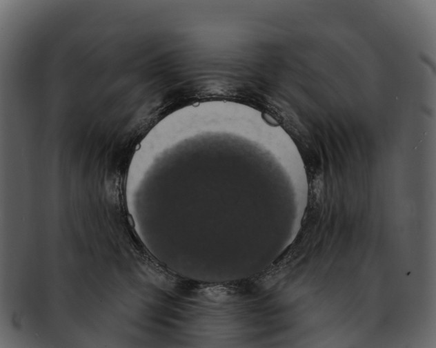 X0000092320423200710051300