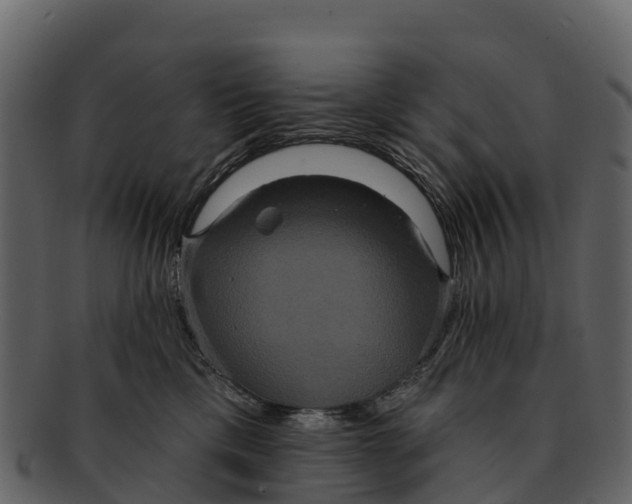 X0000092320425200710051300