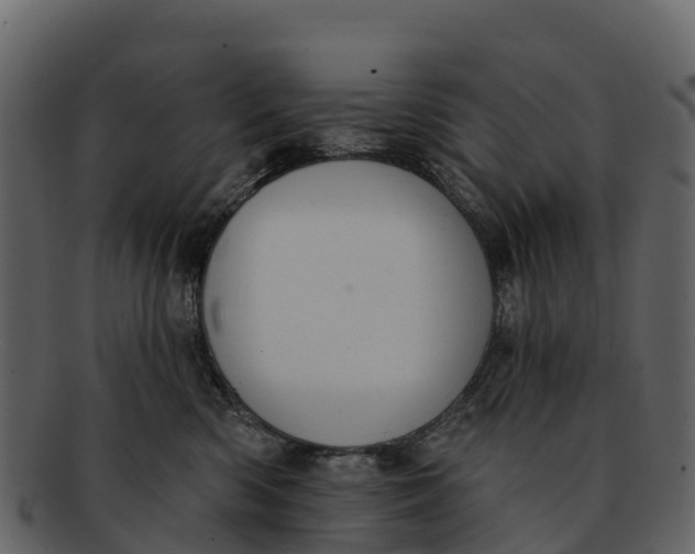 X0000092320426200710051300