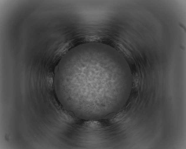 X0000092320427200710051300