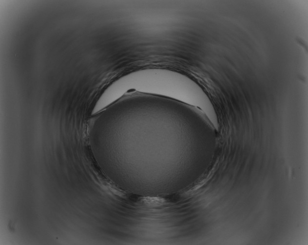 X0000092320429200710051300