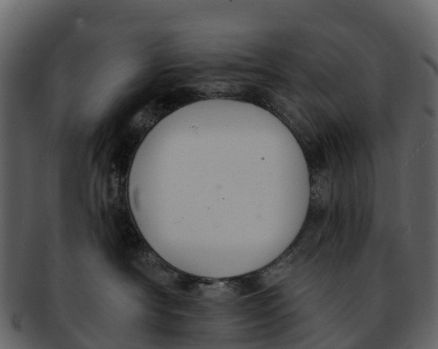X0000092320430200710051300
