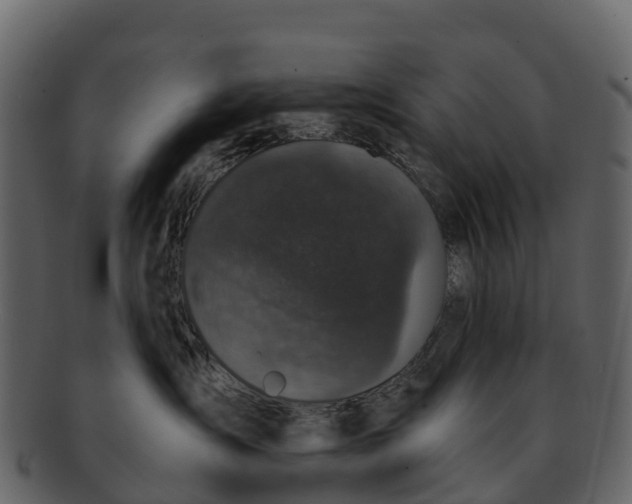 X0000092320431200710051300