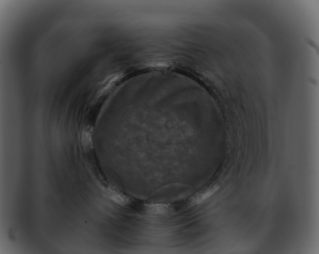 X0000092320432200710051300