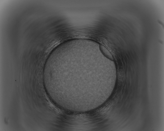 X0000092320433200710051259