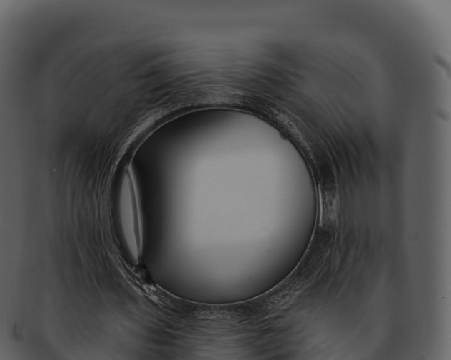 X0000092320435200710051259