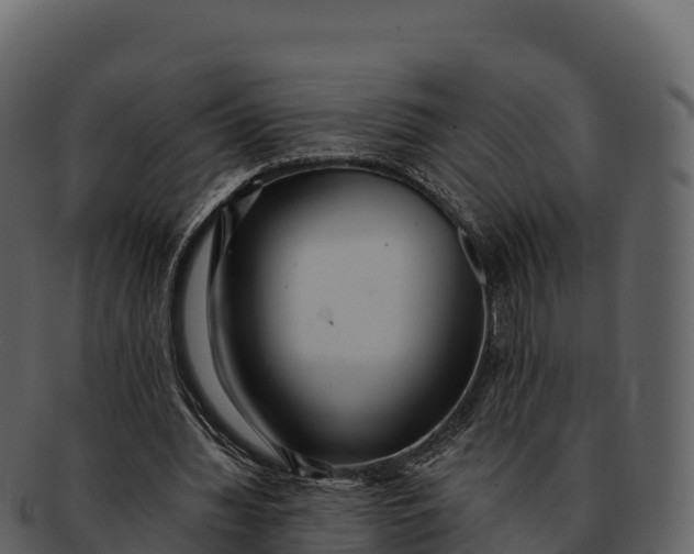 X0000092320436200710051259