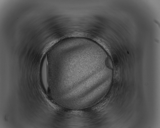 X0000092320437200710051259