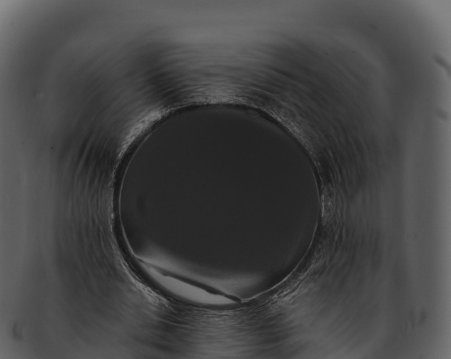 X0000092320438200710051259
