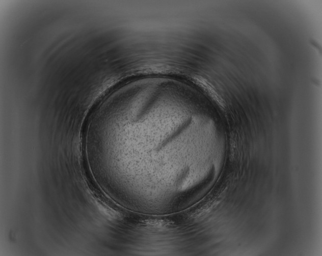 X0000092320439200710051259